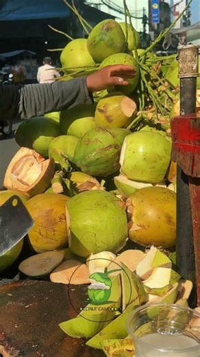 Cutting a Coconut with Laser Precision