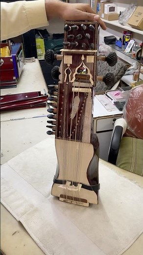 Sarangi 🎶 professional 💯