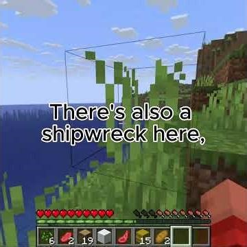 Cool Minecraft Java Seed!(Updated)#minecraft #minecraftseeds #minecraftjava #gaming #minecraftshorts