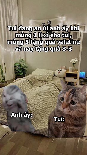 FAN RỌT trên TikTok