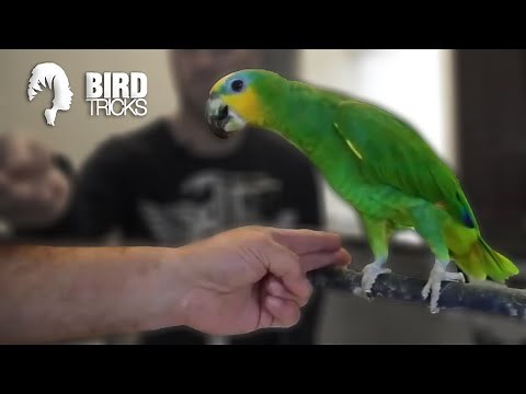 One Day Miracles | Don't Bite the Hand That Feeds You