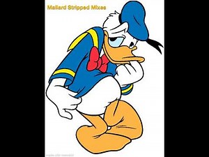 Jefferson Starship - Jane (Mallard Stripped Drumless)