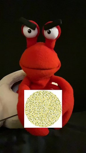 FREE COLOR BLIND TEST #Colors #color #test #quiz #crankycrab