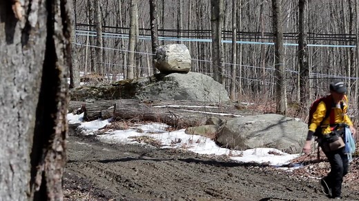 Maple Sugaring: How Maple Syrup Is Made
