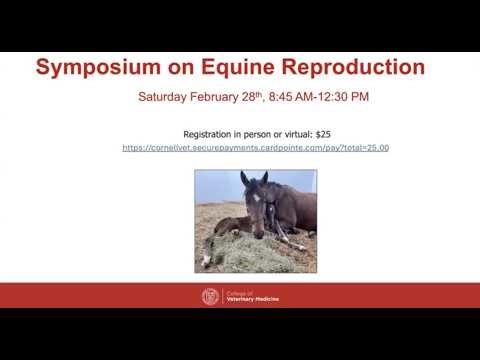 Medical Management of Mares to Improve Fertility: Equine Seminar Series February 2026