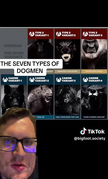 Have you seen any of these dogman types? 👀🐺🐺🐺 #paranormal #paranormaltiktok #legend #lore #cryptid #dogman #dogmanencounters #michigandogman #lbl #landbetweenthelakes #kentucky #hyena #hyenadogman #gugwe