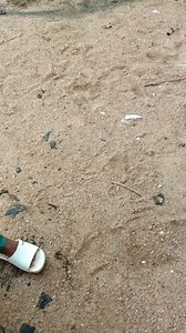 What are the different types of sand found on beaches, and how ... | Filo