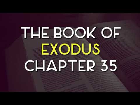 Exodus 35 NKJV - Book of Exodus - Chapter 35 - English Bible
