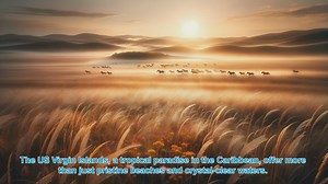 Hiking the Hidden Gems of the US Virgin Islands