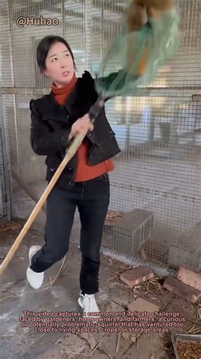 Gentle & Effective Squirrel Rescue! DIY Animal Control Hack (Wildlife, Garden Tips, ASMR)