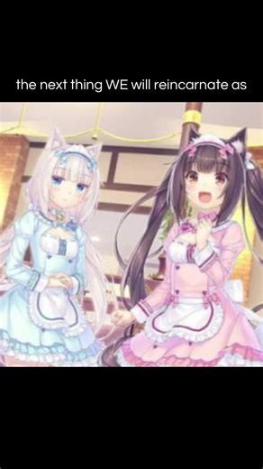 nice #chocolaandvanilla #fyp #viral #nekopara #animecatgirl | chocolate and vanilla