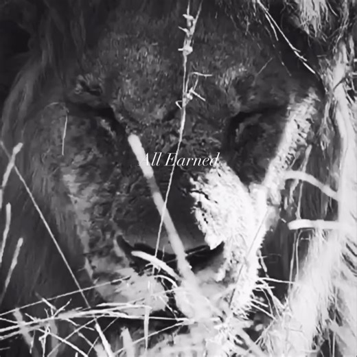 Flex Lewis IFBB Pro on Reels