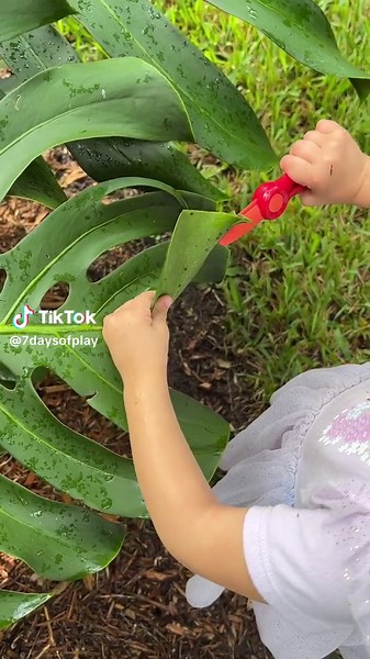 These scissors are amazing for toddlers! You can find them linked in my bio in the list “Toys and Tools for Strengthening Fine Motor Skills!” One of my kids struggled with fine motor skills in PreK and I quickly learned the importance of strengthening fine motor skills early! Having strong fine motor skills means the muscles in the hands and fingers are stronger which can help with so many life skills like writing with a pencil, buttoning a shirt, and tying shoes (to name a few!). These scissors