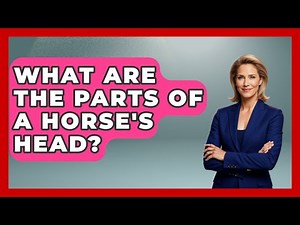 What Are The Parts Of A Horse's Head? - The Horses Stable