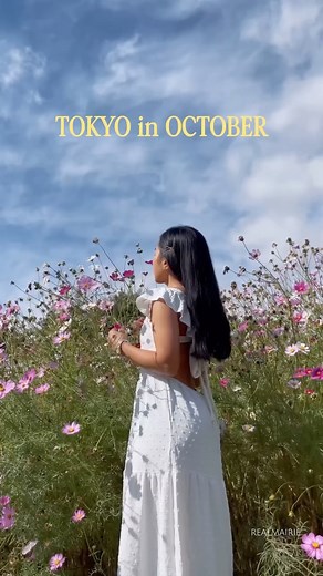 Mai l Japan Travel Destinations on Instagram: "🍂 TOKYO in OCTOBER Visiting Tokyo this fall? The city comes alive with flower fields, fireworks, cultural shows, and seasonal festivals. Here are the top events you won’t want to miss: Cosmos at Showa Kinen Park (Tachikawa) 📅 Until Oct 26 See over 5 million cosmos in bloom—one of Tokyo’s most photogenic autumn spots. Tamagawa Fireworks Festival (Tama River) 📅 Oct 4 | 18:00 A dazzling fireworks show lighting up the autumn night sky. Chofu Yosakoi