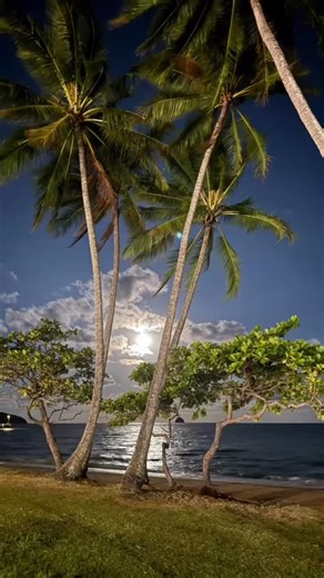 As night falls and the day winds down, it’s important to remember the simple yet effective practice of turning down the lights before heading to bed. Dimming the lights in the evening can significantly enhance your sleep quality by signalling to your body that it’s time to wind down. This practice helps to regulate your circadian rhythm, as exposure to bright lights can interfere with the production of melatonin, the hormone responsible for inducing sleep. By creating a calm, low-lit environment