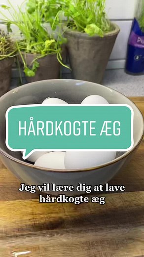 Lær at lave hårdkogte og blødkogte æg på en nem måde