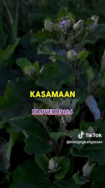 Understanding Salvation Through Bible Verses