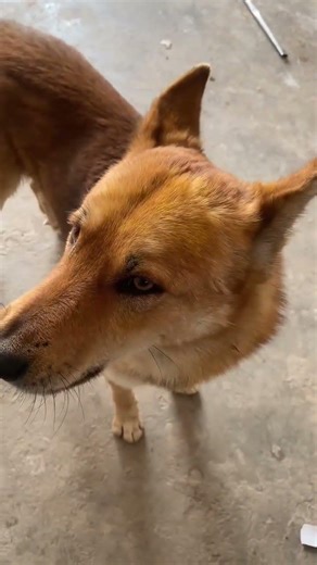 Discover the Secret to Flawless Skin! Chinese Skincare Hacks Unveiled