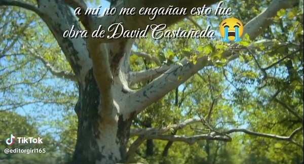 David Castañeda tua #theumbrellaacademy #tua #theumbrellaacademystory #tn #diegohargreeves #davidcastañeda #cincohargreves #fypシ #viral #tiktokponmeenparati #aidanarmy