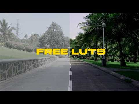Free LUT for LOG Footage (Download) | Davinci Resolve