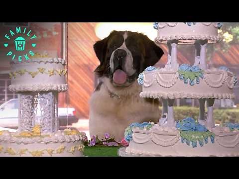 Beethoven’s Day of Fun Away from Home | Beethoven