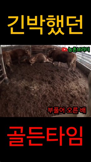 시간이 얼마 남지 않았다... 긴급한 상황을 대비하자
