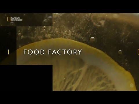 国家地理频道亚洲台(National Geographic Asia)《美食工厂(Food Factory)》宣传片