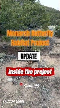 Inside the Project! — Monarch Butterfly Repopulation Effort habitat project. Salida, CO