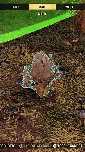 Essential Tips for Crops in Fallout 76: No Vegetables Needed