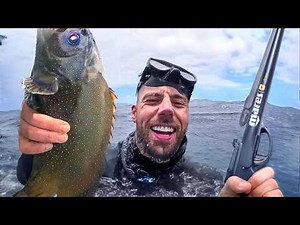 WILD Spearfishing in HAWAII (Catch & Cook)
