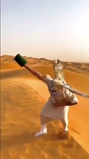 Explore the Beauty of Dubai ✨ | Luxury, Adventure & Iconic Attractions in UAE
