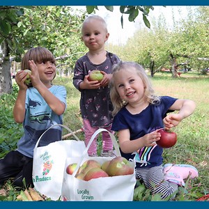 2.5M views · 191K reactions | Apple picking was so much fun at Wheeler's Orchard and Vineyard | CookingwithSammy | Facebook