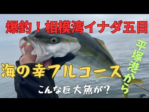 【爆釣】イナダ五目釣り 初心者でも簡単に釣れる【落とし込みサビキ】初挑戦！