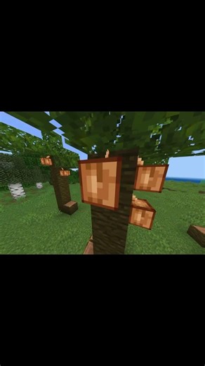 Drama CEO SAWIT 30 detik 🗿 #minecraft#shorts#viral