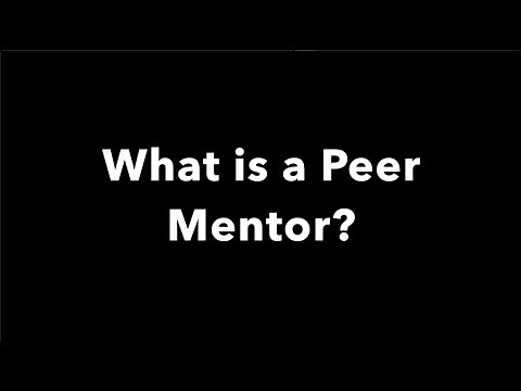 What is a Peer Mentor?