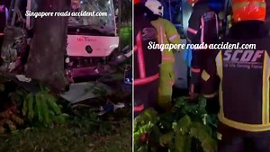 54-year-old SBS Transit driver dies after crashing empty bus into tree near Hougang bus depot