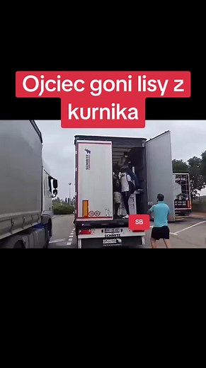 Łojciec i lisy #viral #memes #foryou