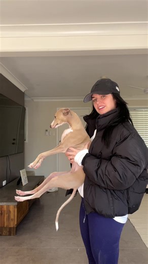 Iggy the Dog Tries a New Hold