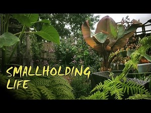 Life on the Smallholding Farm UK | Chores, Ducks and Newbies