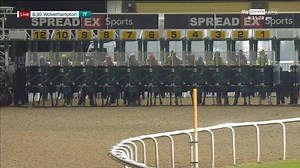 8 horses DISQUALIFIED after false start CHAOS at Wolverhampton! | At The Races