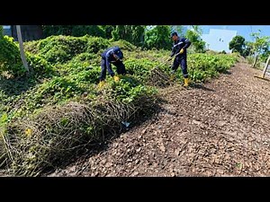 This place hadn't been cleaned in years… So we did it