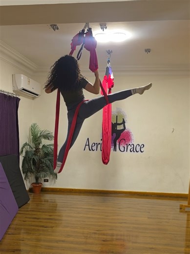 Aerial Grace: Spinning Through the Air