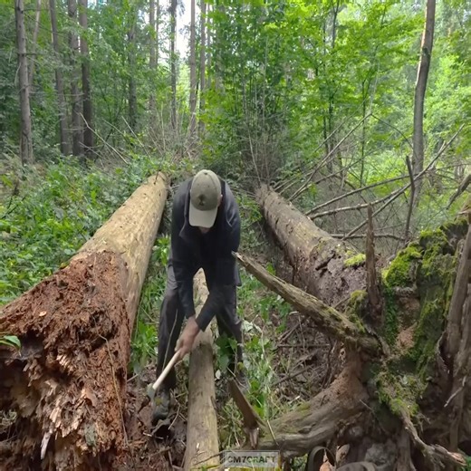Built a Cozy Survival Hut on Top of Fallen Trees. Bushcraft | Alvin R. Wood