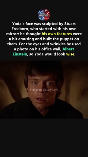 You won't believe who Yoda's face is based on #starwars #yoda #trivia