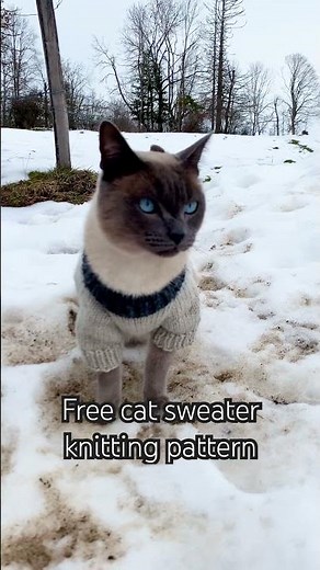 Free Cat or Small Dog Sweater/Jumper knitting pattern with tutorial! #knittingpattern #loveknitting