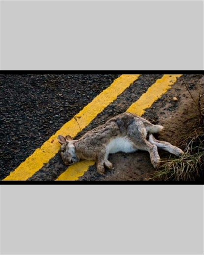 Nutrition of bacteria in microbiology part 3