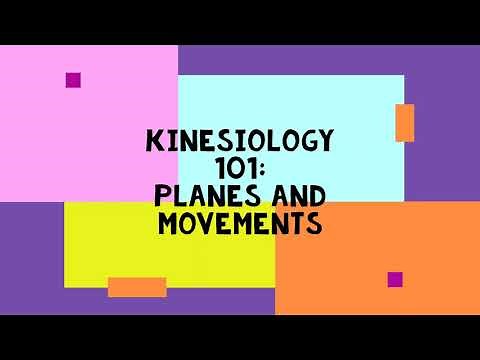 Kinesiology 101: Directions, Planes of Motion, Axis of Rotation, and Movements