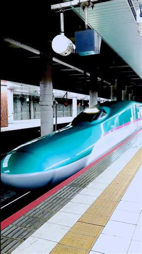 【東北新幹線】上野駅入線 #short#レア#激レア#新幹線#上越#上越新幹線#運行情報#運行状況#JR#迫力#運行#鉄道#電車#乗り鉄#撮り鉄#東京#東京都#上野駅#上野#新幹線#通過#上越#北陸