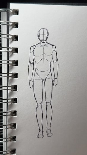 Manu._. on Instagram: "How I Draw Male Bodies - Anatomy Tutorial #draw #drawing #sketch #sketching #art #artist #tutorial #howtodraw #body #bodies #male #anatomy #fyp #fypシ #easy #simple #beginner"